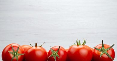 Máte přebytky rajčat? Top recepty na jejich zpracování.